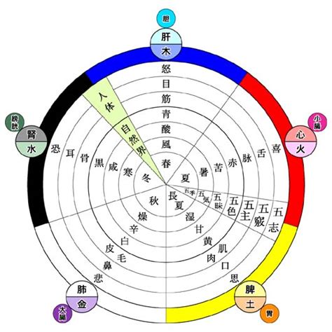 五行目|五行思想